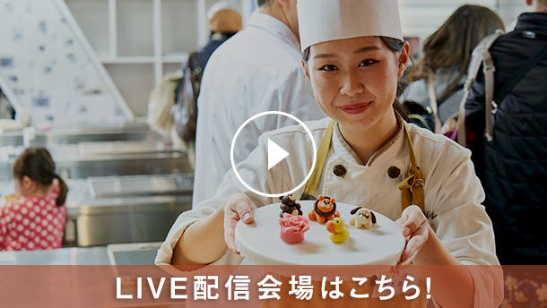 LIVE配信はこちら